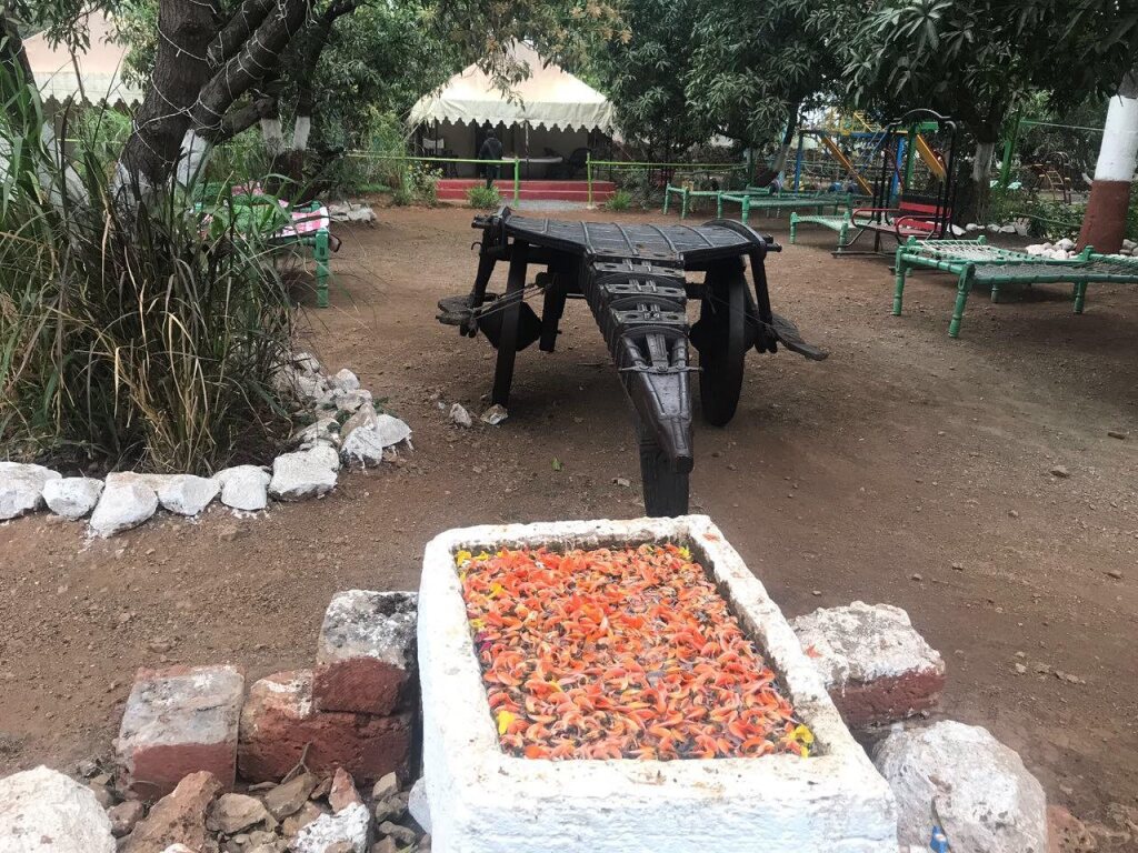 Сазан: Gir Pride Resort