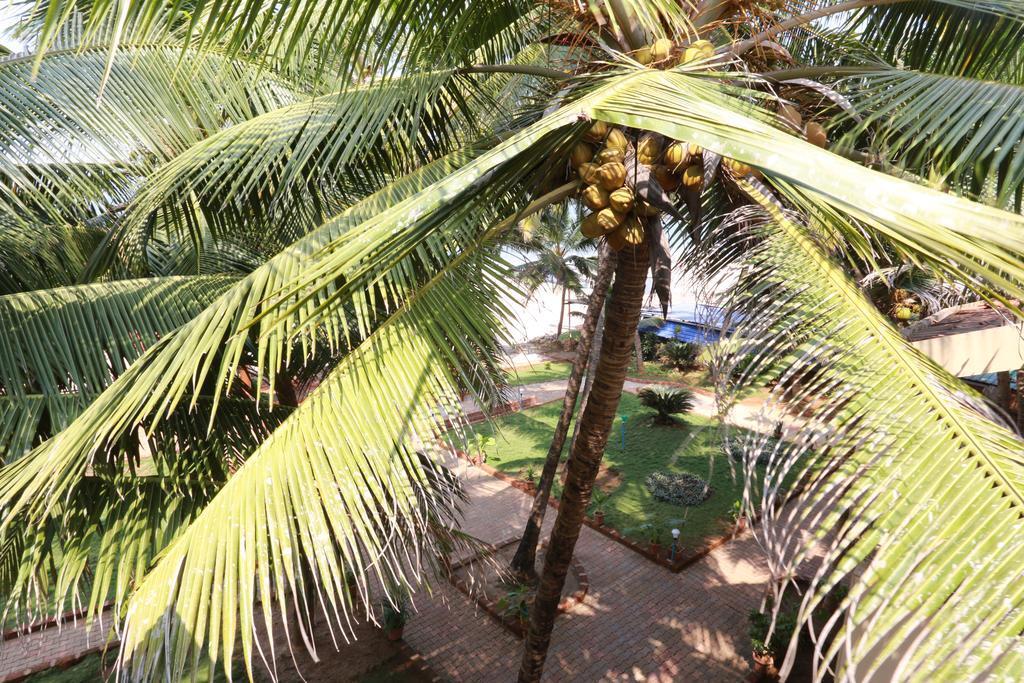 Гокарна: Gokarna International Beach Resort