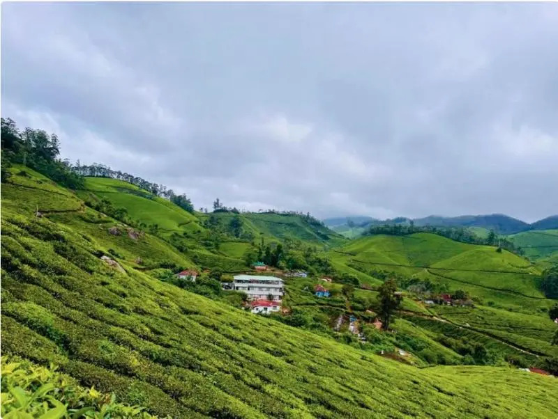 Муннар: 7 Malai Residency