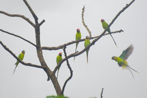 Алибаг: JenJon Holiday Homes - Phansad, Alibaug