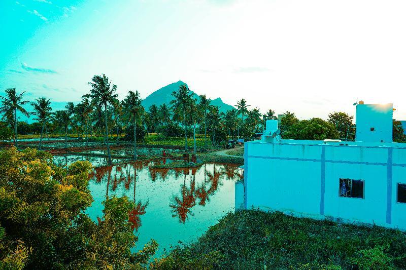Тируваннамалай: Sri Sakthi Residence