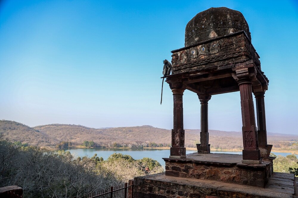 Савай-Мадхопур: Sawai Shivir Ranthambore by TUTC