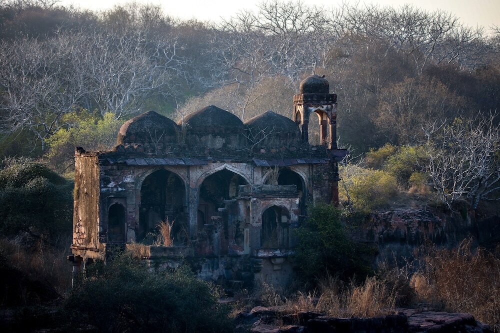 Савай-Мадхопур: Sawai Shivir Ranthambore by TUTC