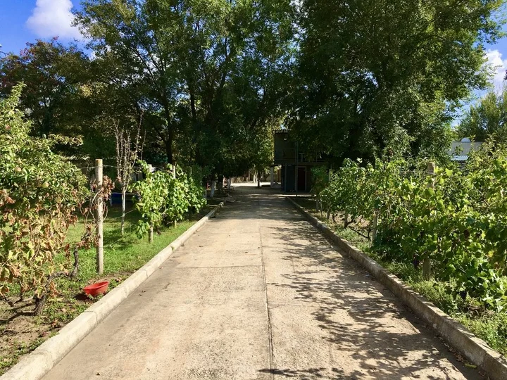 Новоотрадное: Гостевой Дом Family House Midas