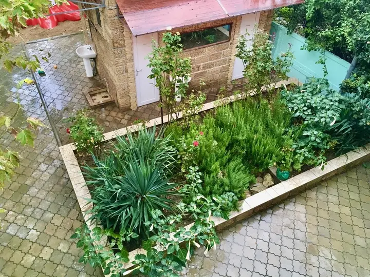 Новоотрадное: Гостевой Дом Family House Midas