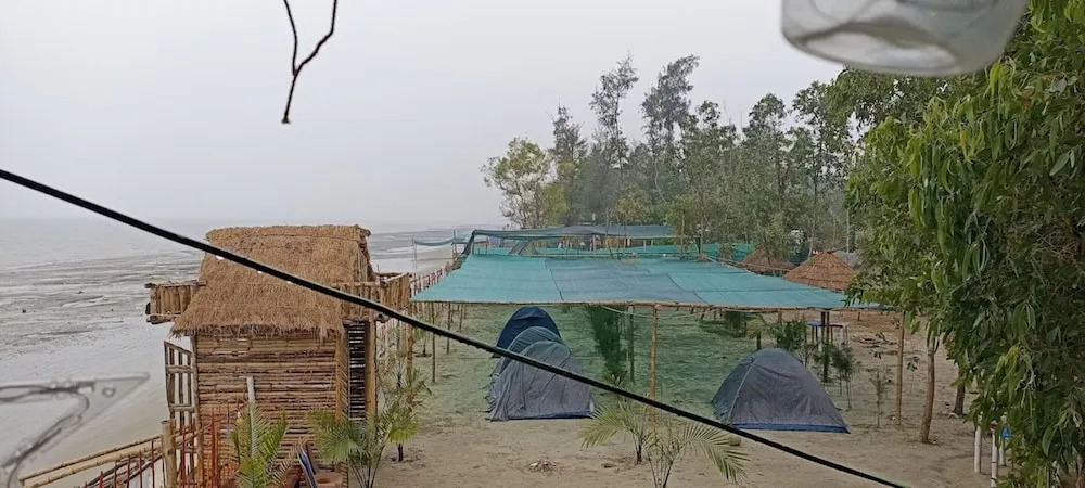 Балиара: Mousuni the dolphin camp