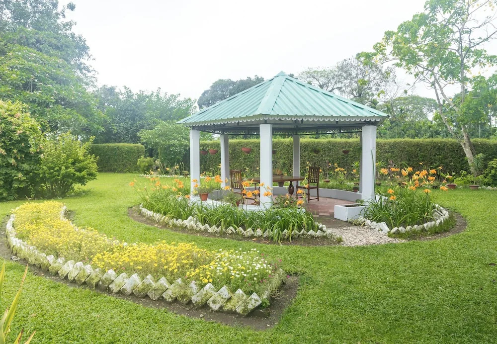 Дакшин Дхупджора: The Baradighi Bungalow - A Heritage Tea Resort