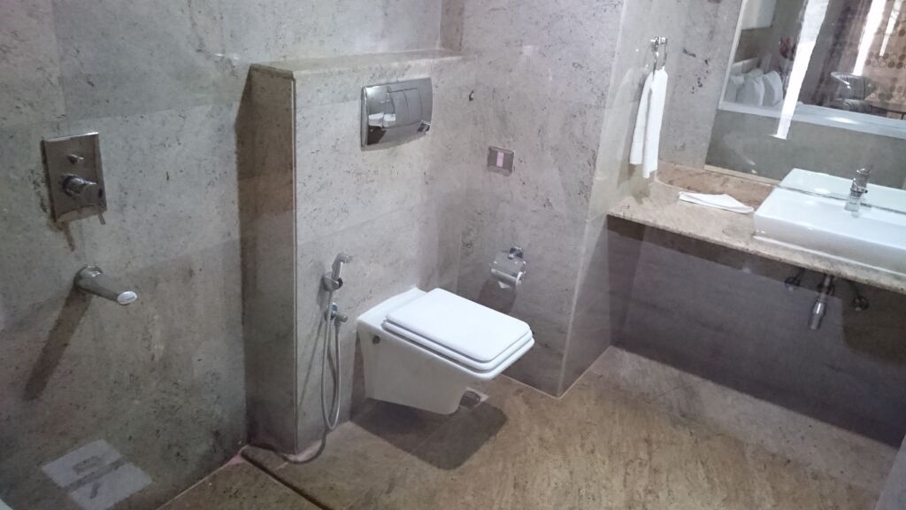 Бангалор: Rosewood International Hotel