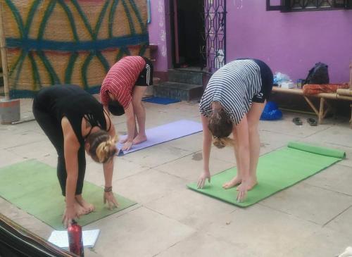 Анджуна: Bunkd Hostel, Anjuna