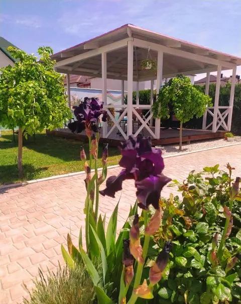 Штормовое: Strana Chudes Guest House