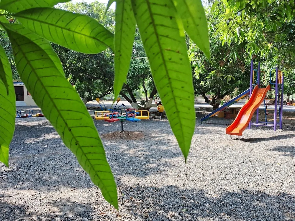 Сазан: Dev Farm Sasan Gir
