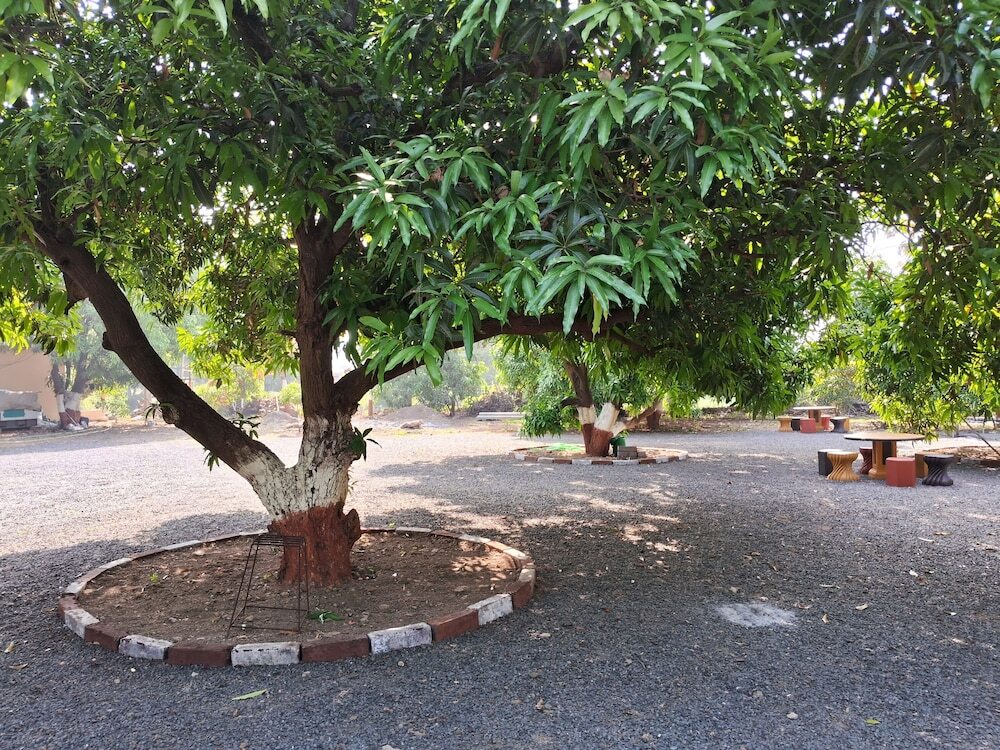 Сазан: Dev Farm Sasan Gir