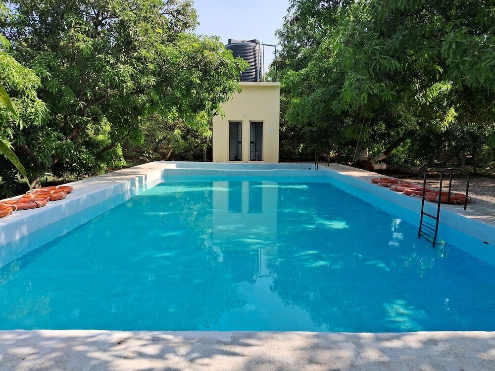 Dev Farm Sasan Gir — фото 4