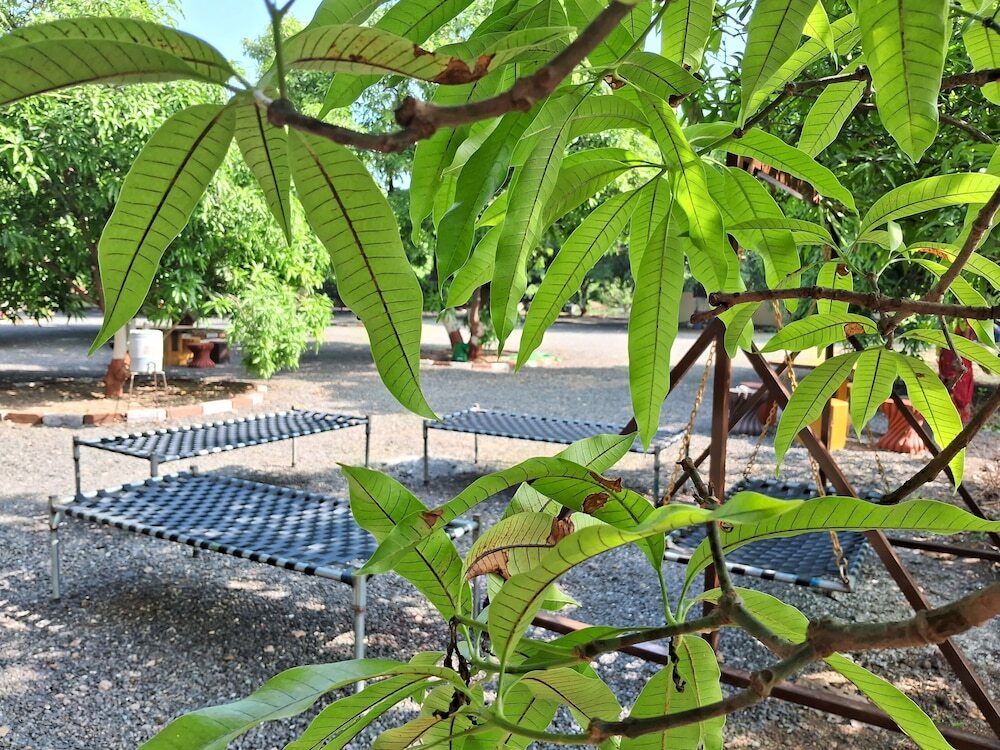 Сазан: Dev Farm Sasan Gir