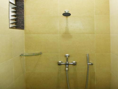 Нашик: Hotel Sai Shahu
