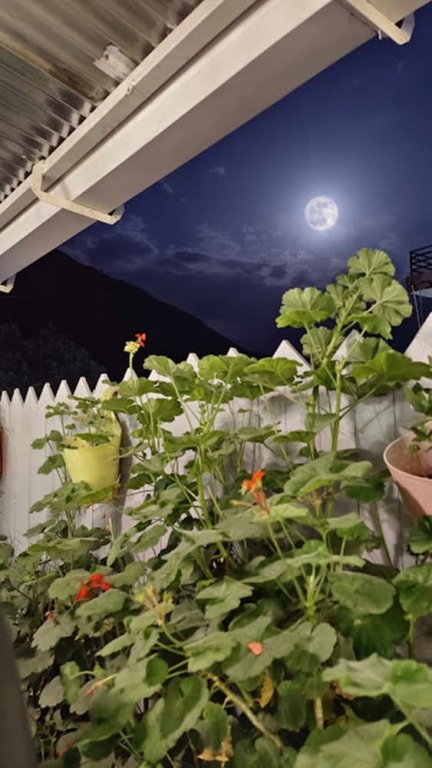 Дармсала: LA SIESTA INDIA HOSTEL Mcleodganj