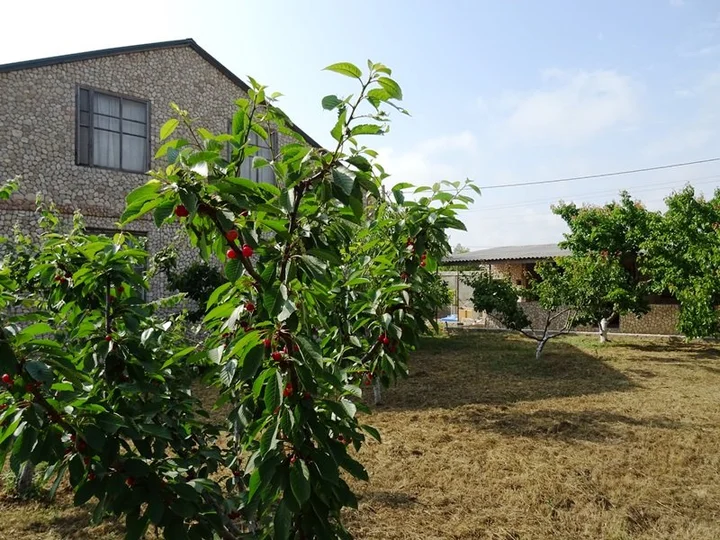 Оленевка: Granat Guest house