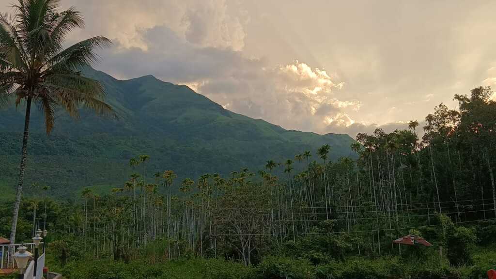 Султан-Батери: Курортный отель Jungle Valley Resort Wayanad