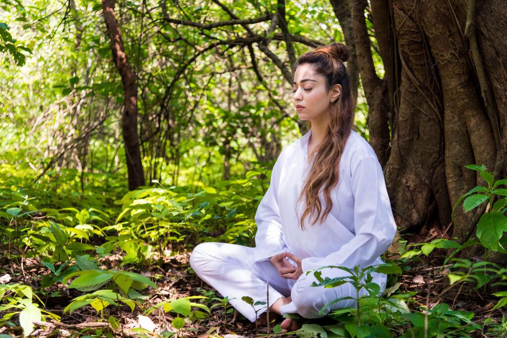 Хандала: Dharana at Shillim A Luxury Wellness Retreat