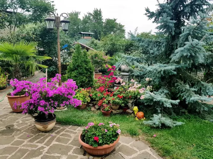 Судак: Гостевой Дом Крым