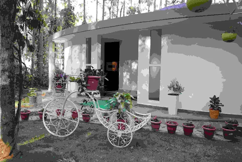One Piece Homestay — фото 5