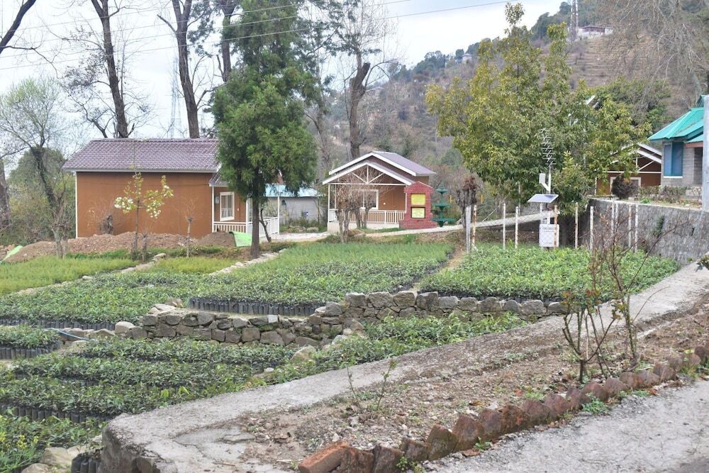 Бир: Forest Rest House Bir