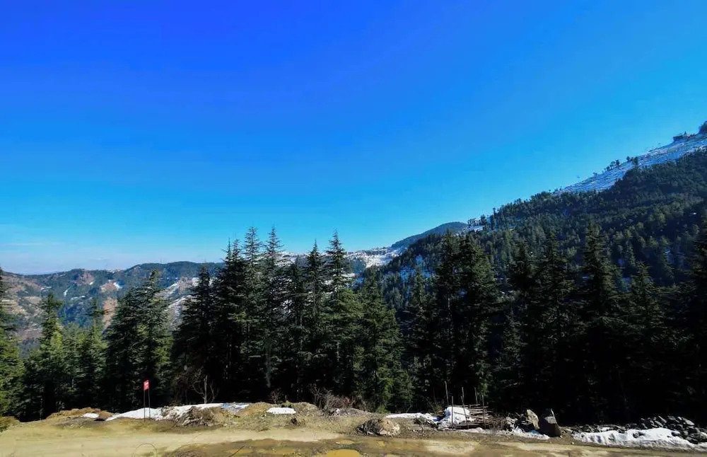 Куфри: Gulmarg Height Homestay Kufri Shimla
