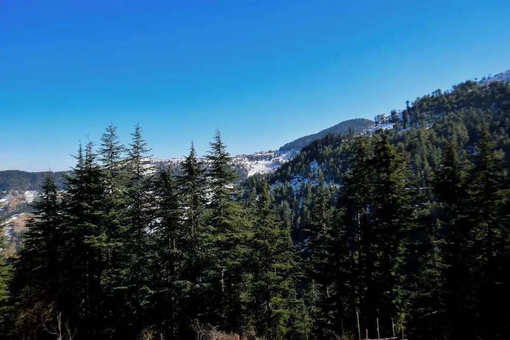 Куфри: Gulmarg Height Homestay Kufri Shimla