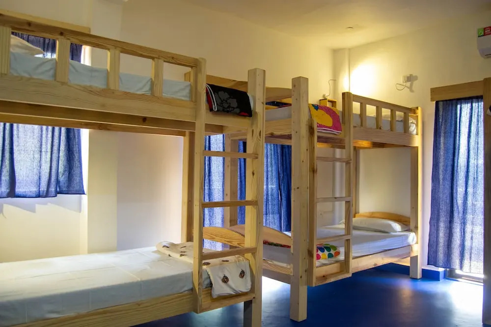 Арпора: Green Nest Hostel