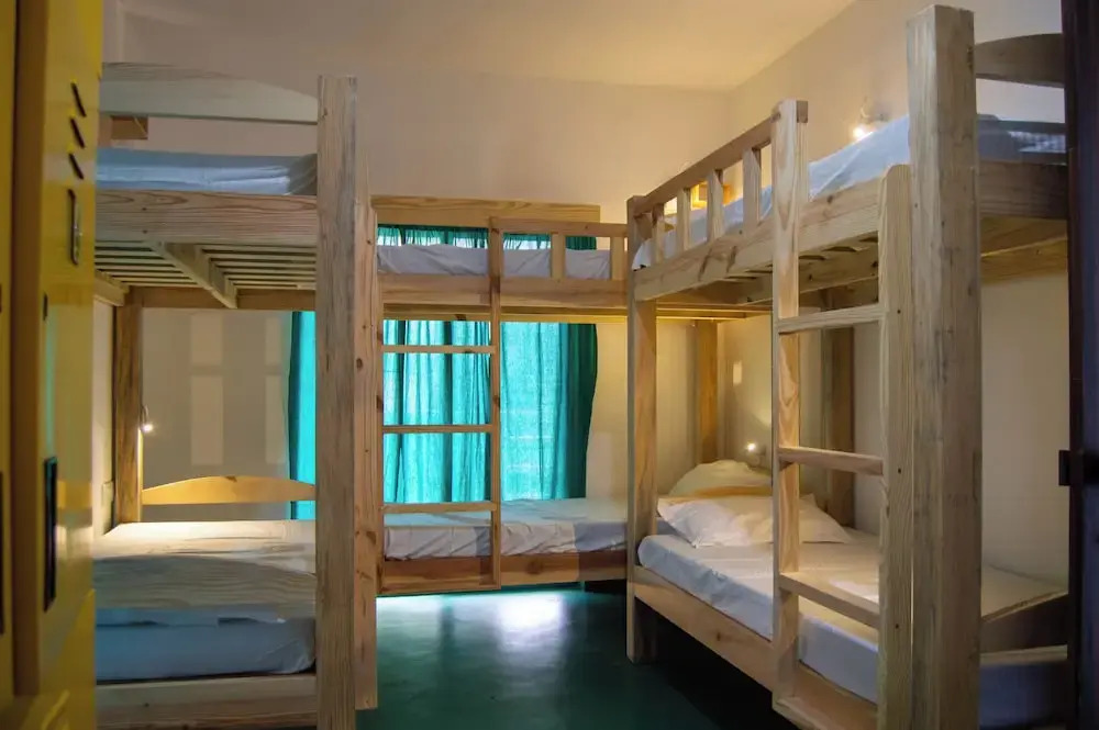 Арпора: Green Nest Hostel