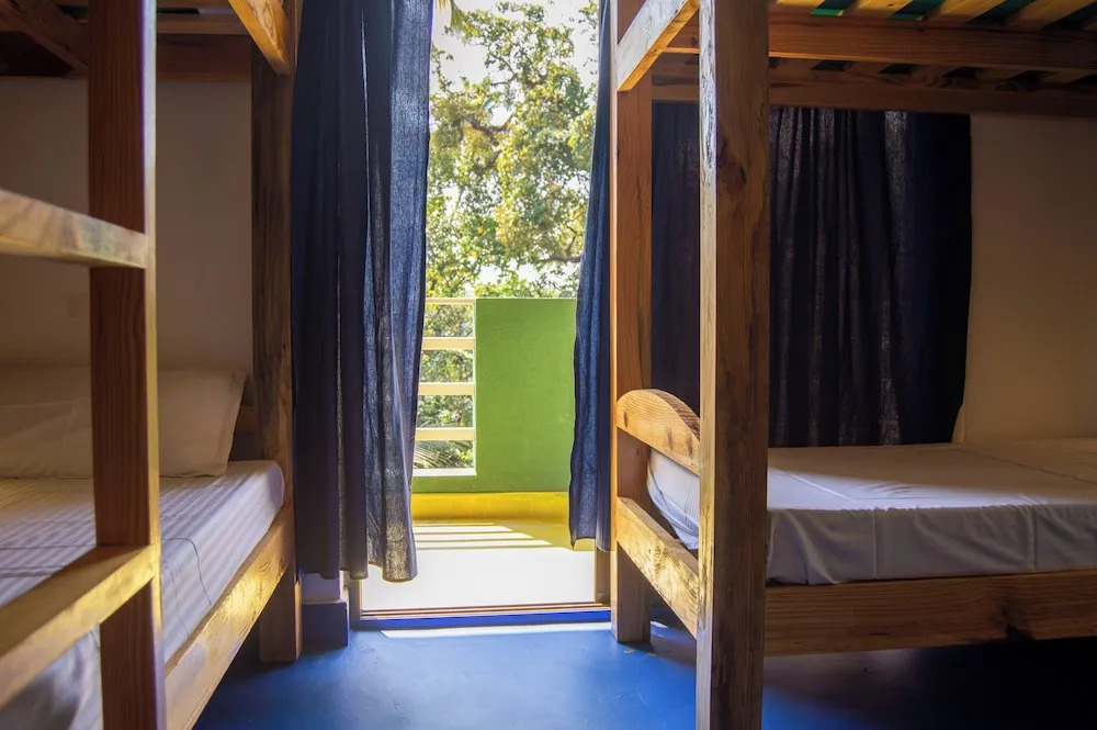 Арпора: Green Nest Hostel