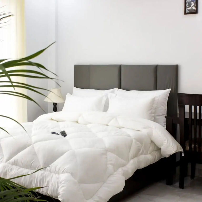 Tranquil 2bhk Oasis in the Heart of Gurugram — фото 4