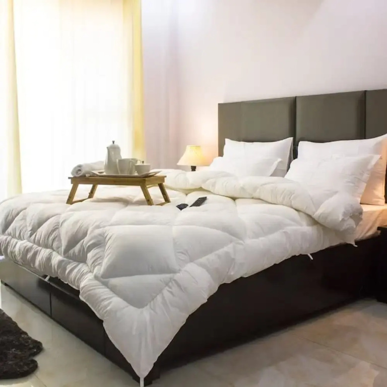 Tranquil 2bhk Oasis in the Heart of Gurugram — фото 3
