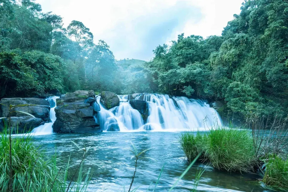 Кушалнагар: Treebo River View