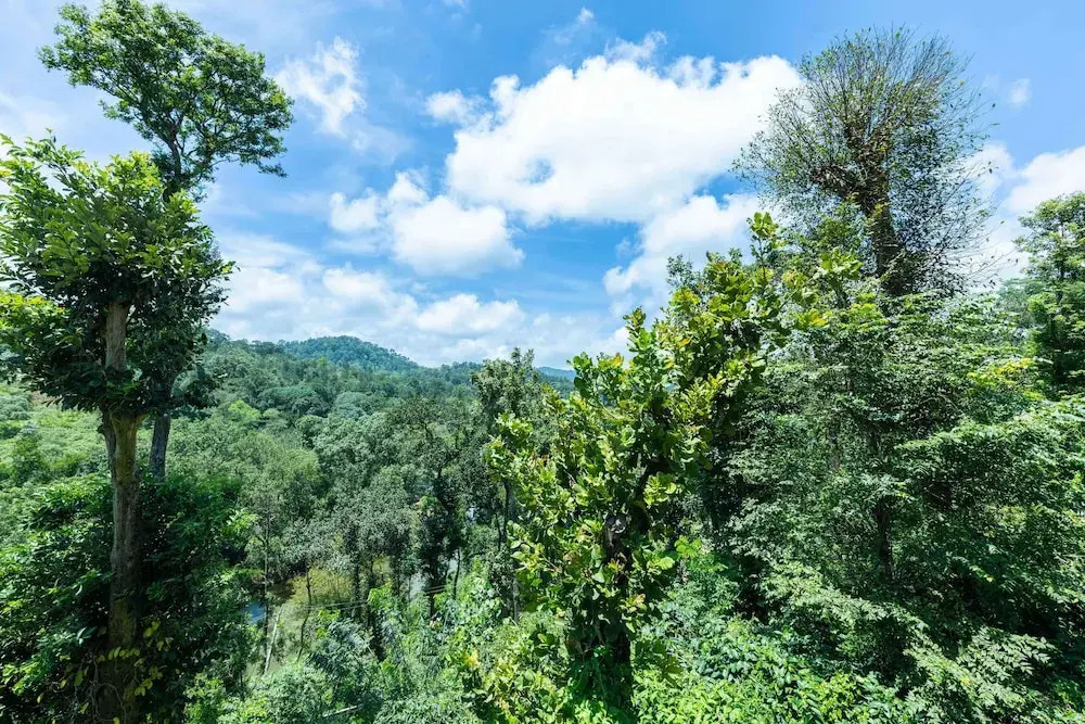 Кушалнагар: Treebo River View
