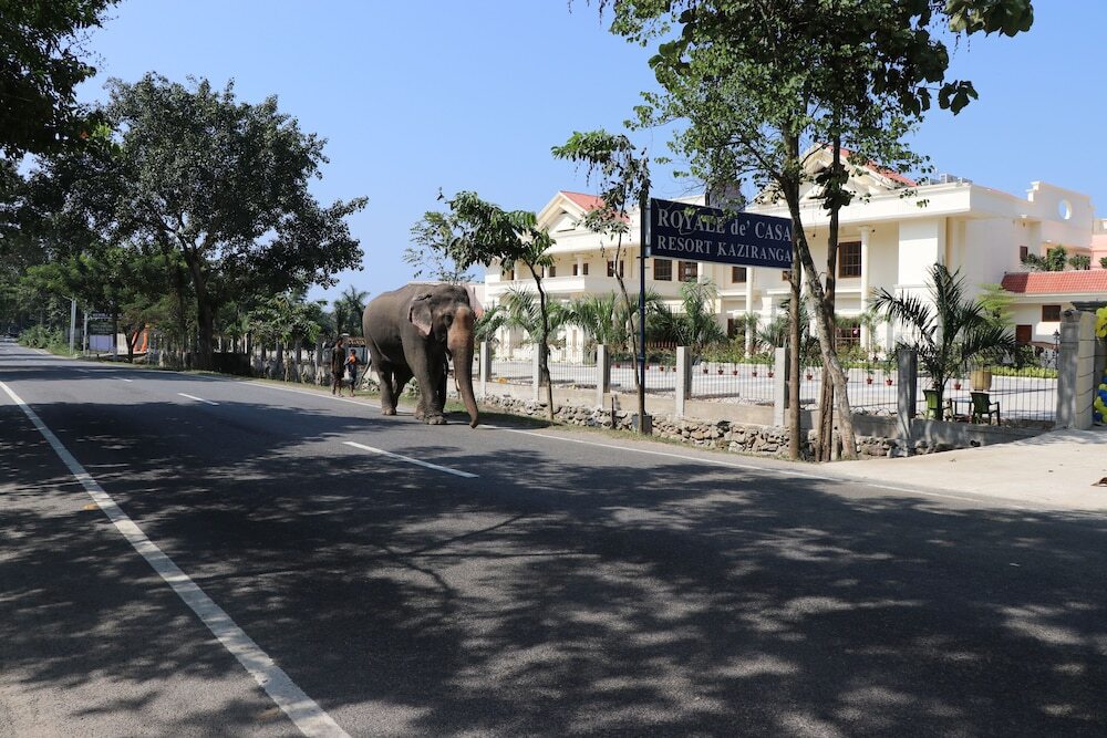 Кохора: ROYALE de' CASA RESORT KAZIRANGA