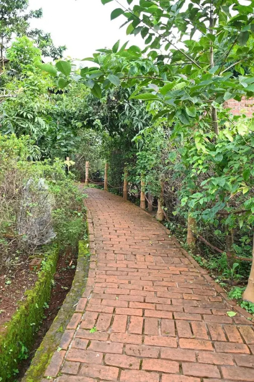 Лаваса: Bamboo and Bricks Resorts