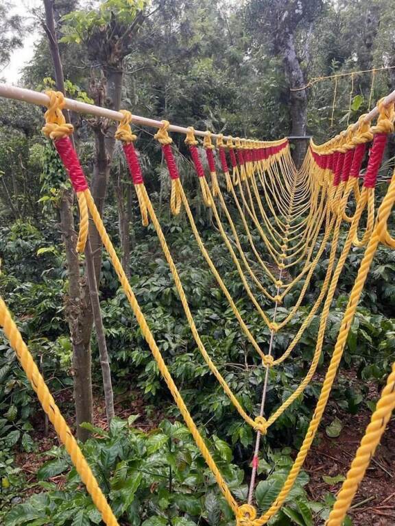 Кушалнагар: Suggi Nature Resort Coorg