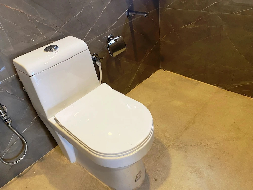 Чакан: The Grand Sarovar Inn and Suites