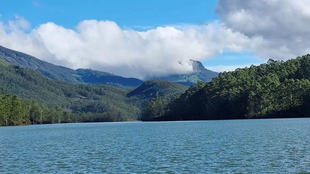 Муннар: Hillsidecreek Homestay