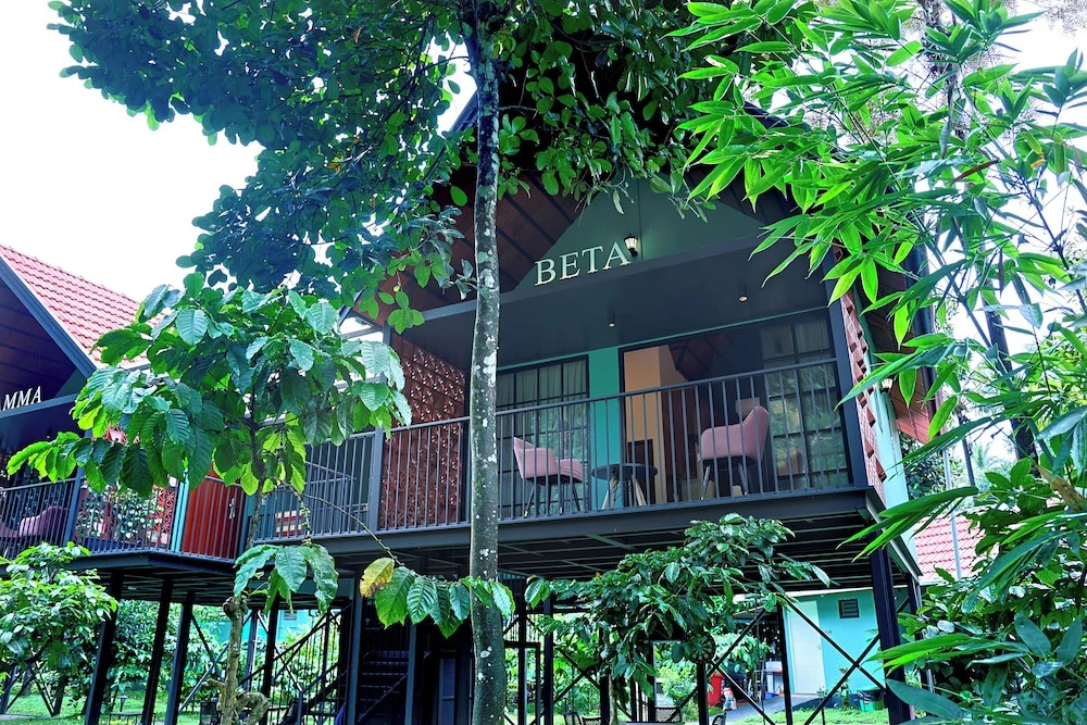Вайтери: Bay View Suites Vythiri