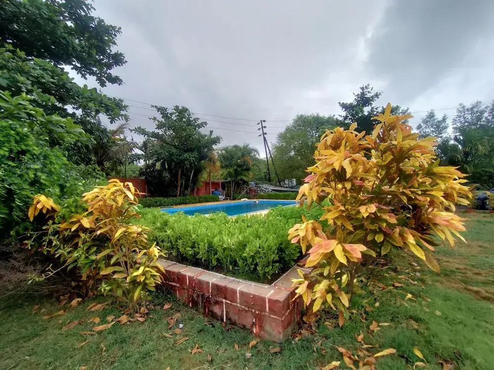 Пляж Мандва: Opulence Resort Awas Alibag