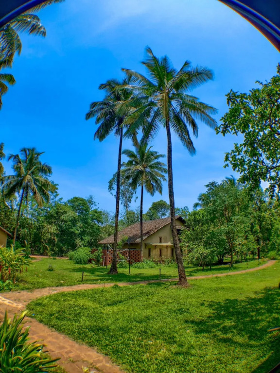 Белагави: The Orchard Resort