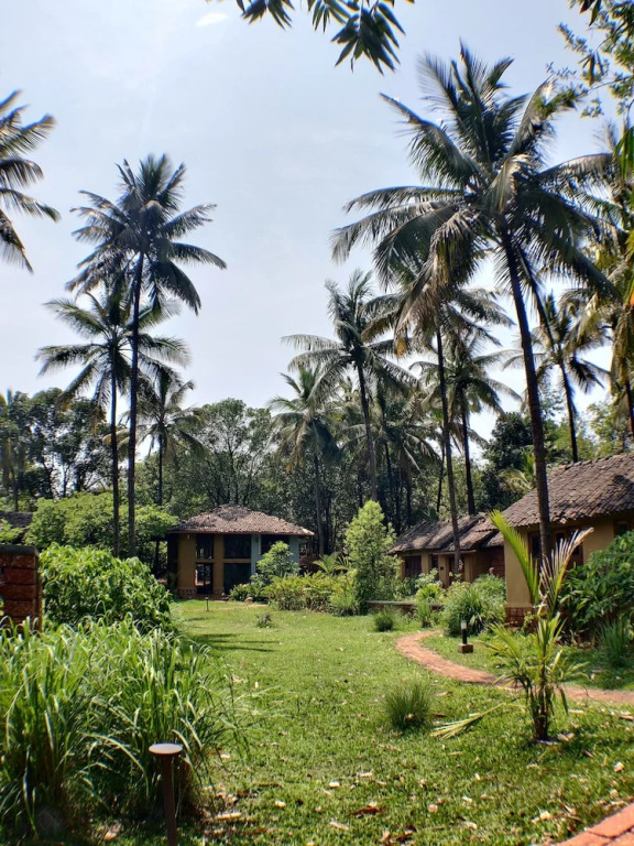 Белагави: The Orchard Resort