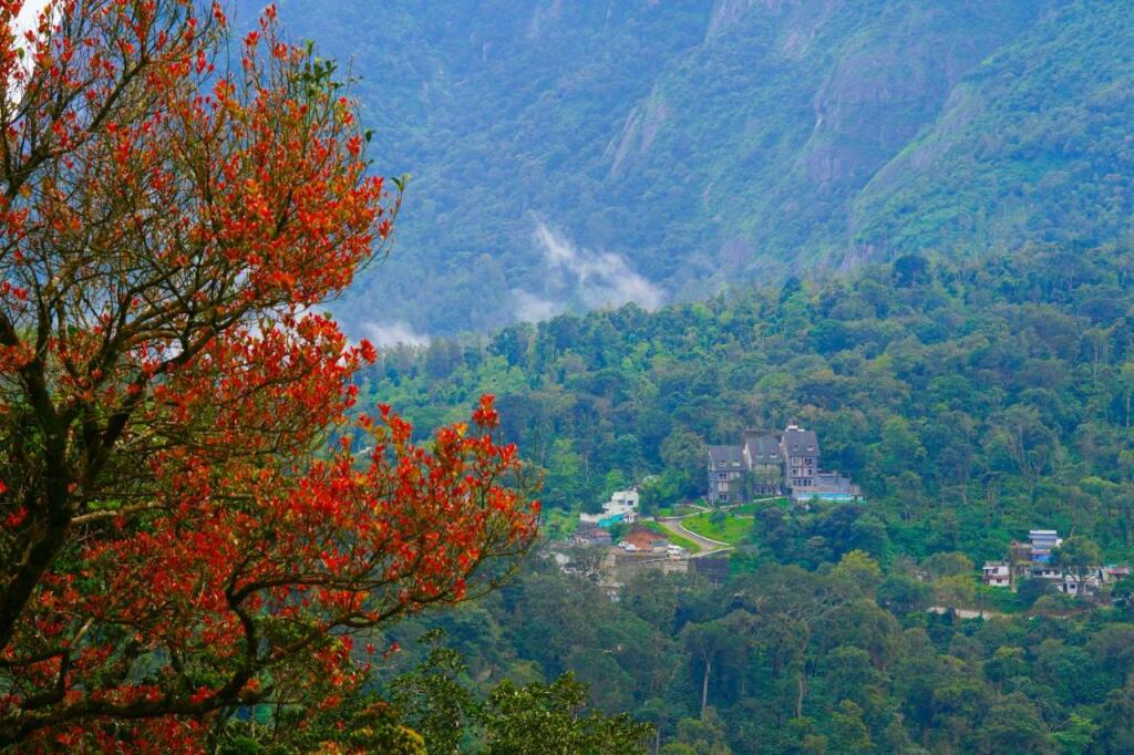 Рамаккалмеду: Shola Crown Resort - Munnar