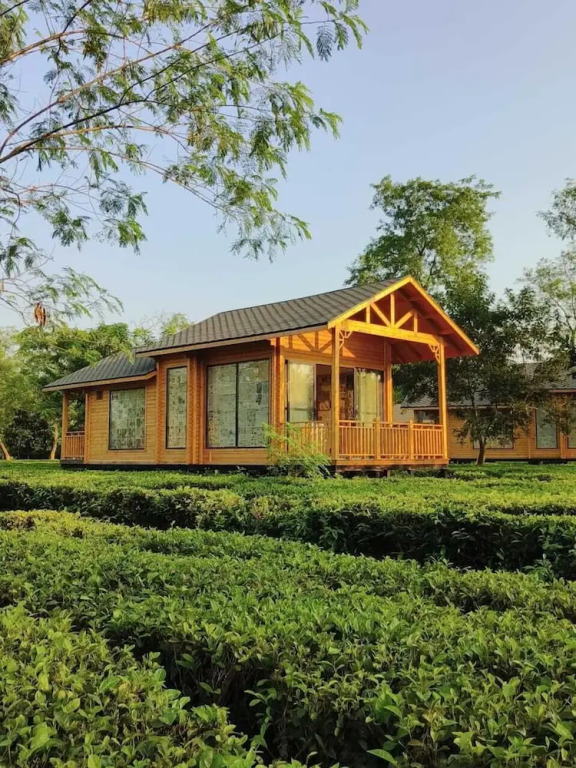 Тезпур: The Postcard in the Durrung Tea Estate