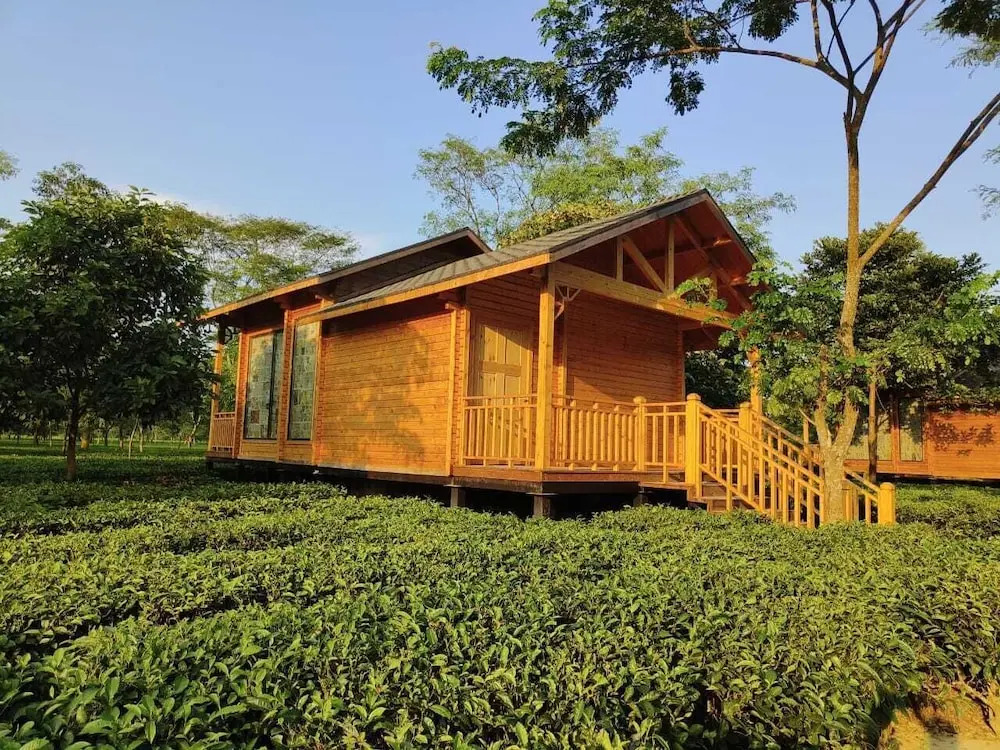 Тезпур: The Postcard in the Durrung Tea Estate