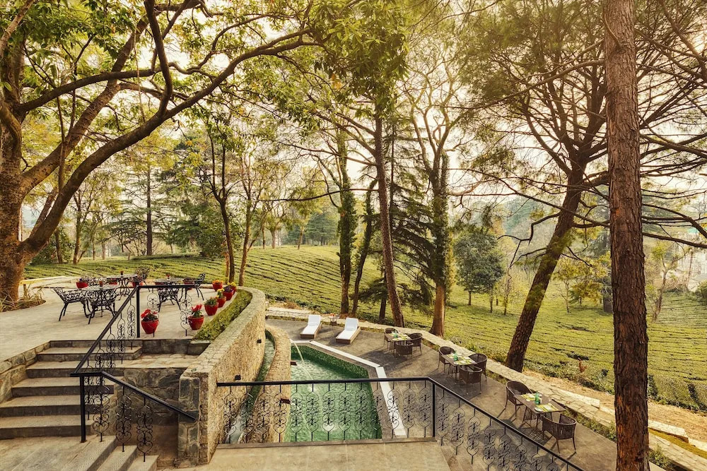 Кангра: Infinitea Dakbunglow Palampur