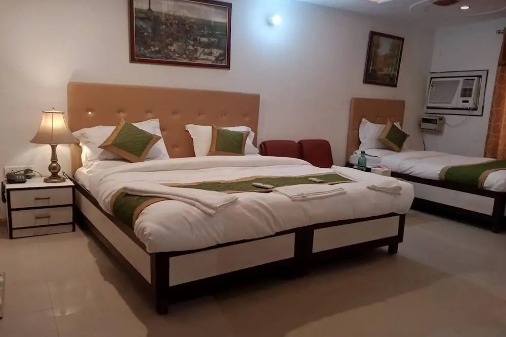 Нью-Дели: Hotel Shyam Palace