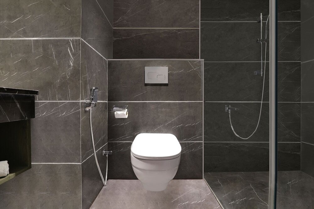 Ханзи: Lemon Tree Hotel Hisar